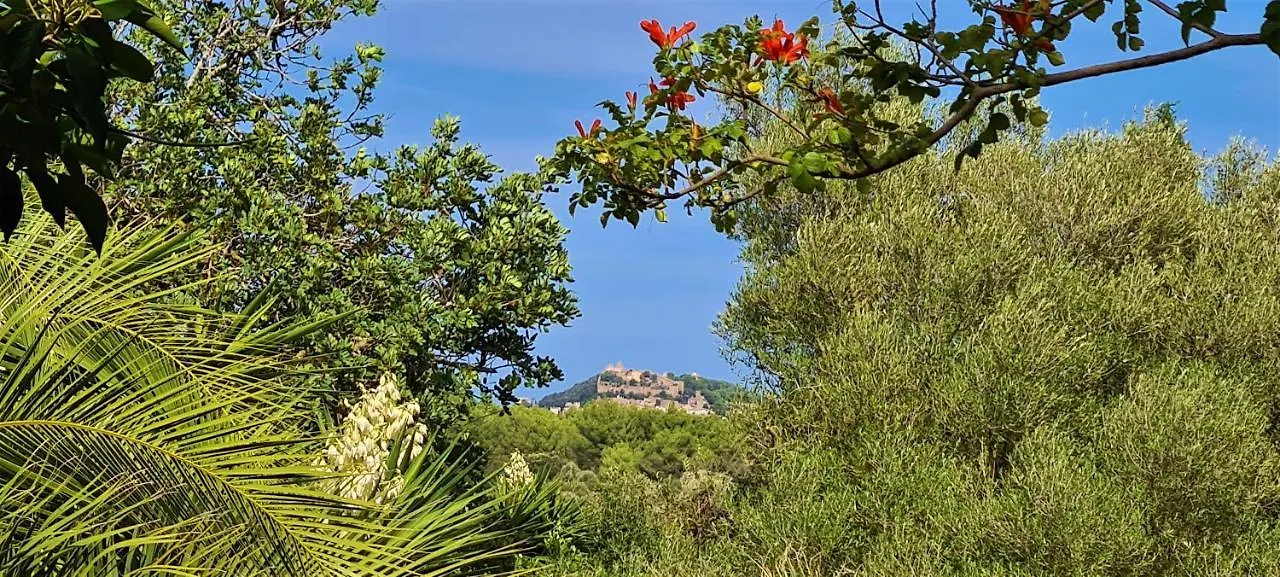 Finca Bona Sort Capdepera  Villa Capdepera (Mallorca)
