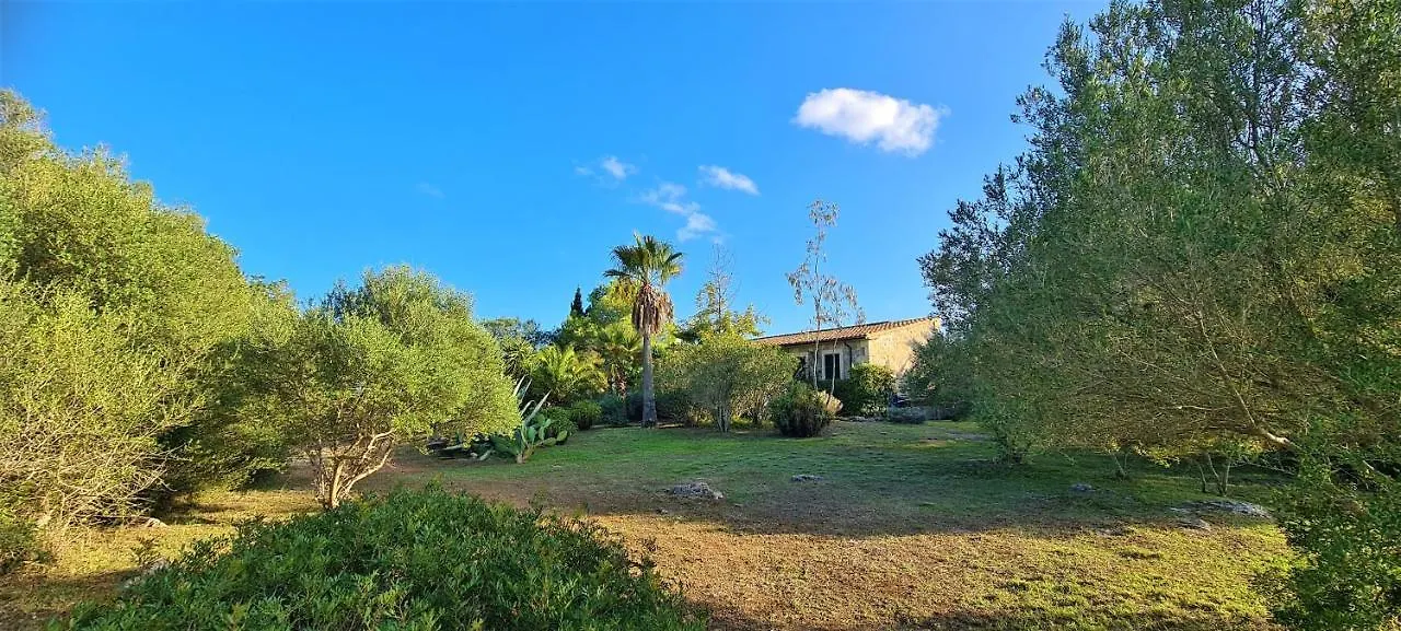 Finca Bona Sort Capdepera  Spain